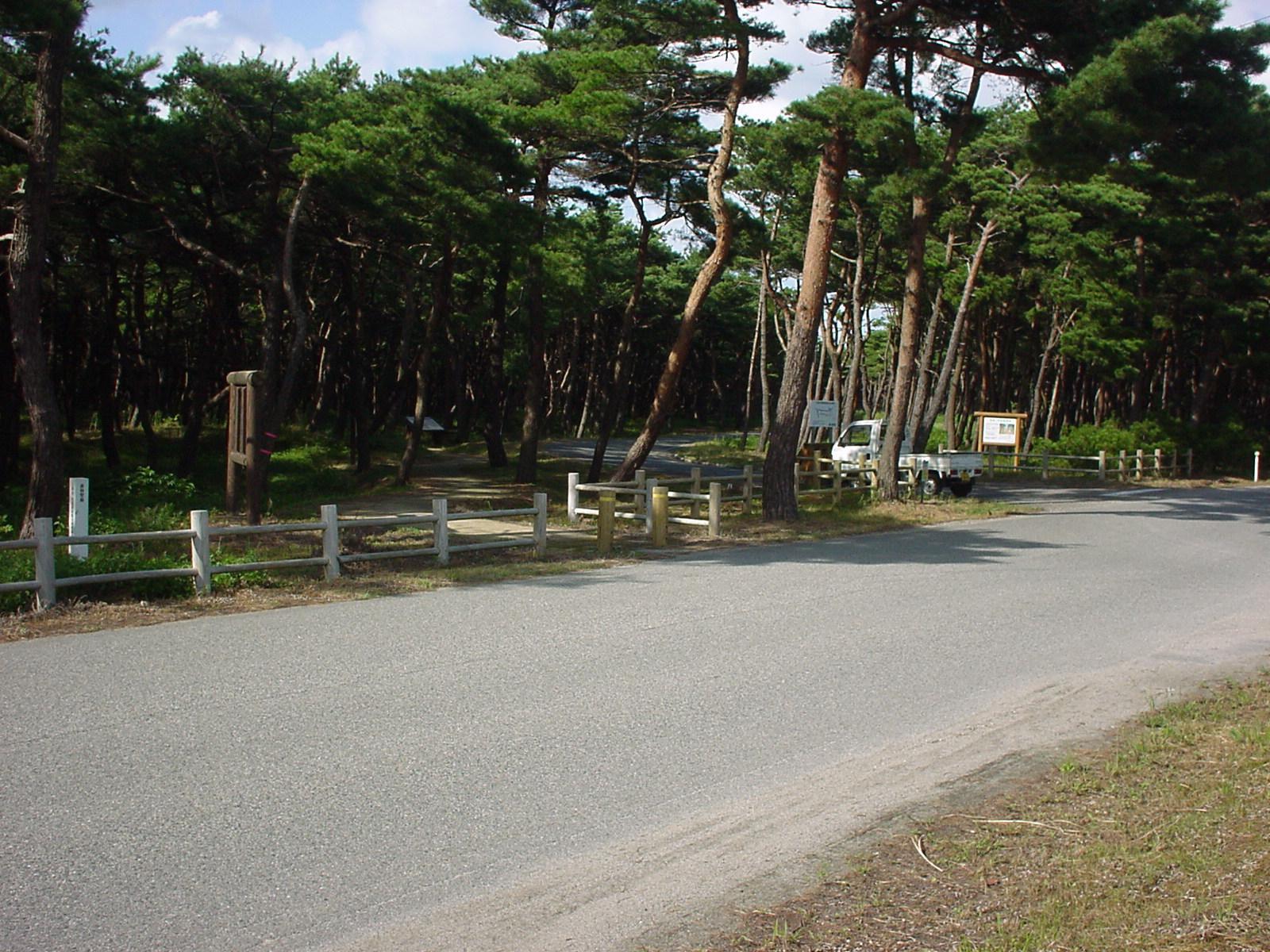 森林公園内の管理道路の写真