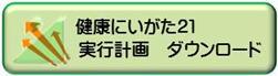 健康にいがた21 実行計画 ダウンロード