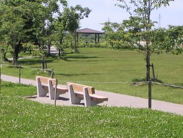 晴天の下、緑豊かな芝生広場にはベンチもあり、たくさんの木々を眺めゆったりと過ごせそうな赤川霞堤公園の写真