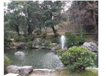 水芭蕉公園の池の写真