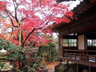 紅葉が庭園を彩る豪農の館の写真