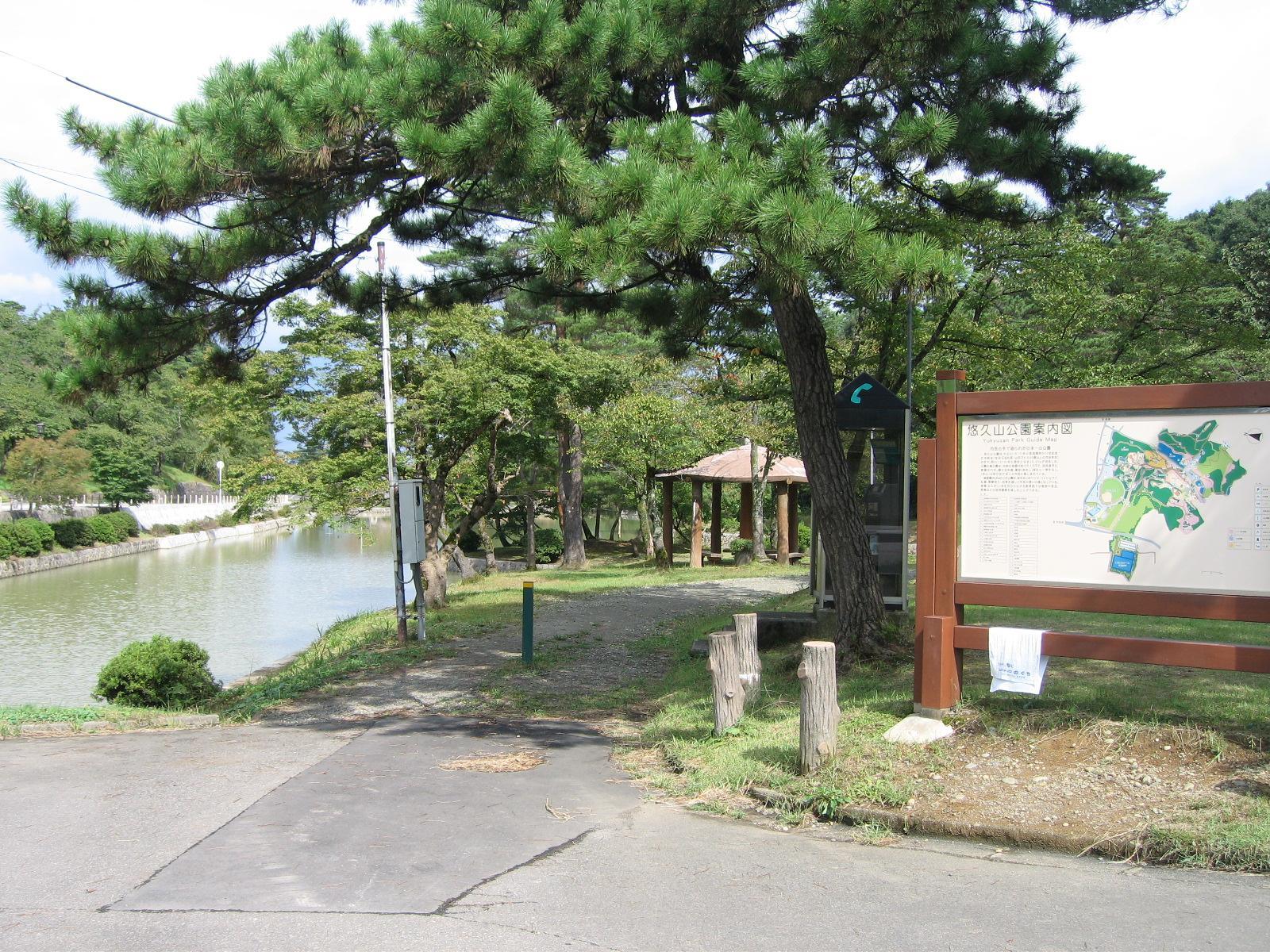 悠久山公園内の松と池の様子の写真