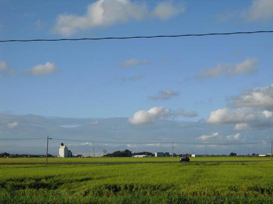 越後平野の広大な穀倉地帯の様子の写真