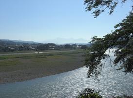 明るい日差しの中を流れる信濃川の写真