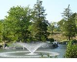 中央に噴水が上がる公園内の池の写真