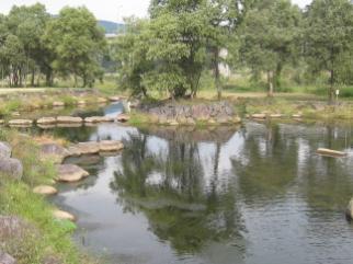 清津川から水を引き込んだ池の写真