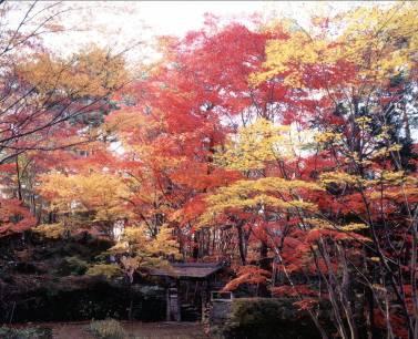 松雲山荘の紅葉の写真