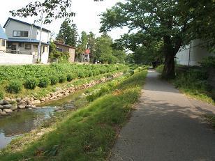 青田川周辺の写真