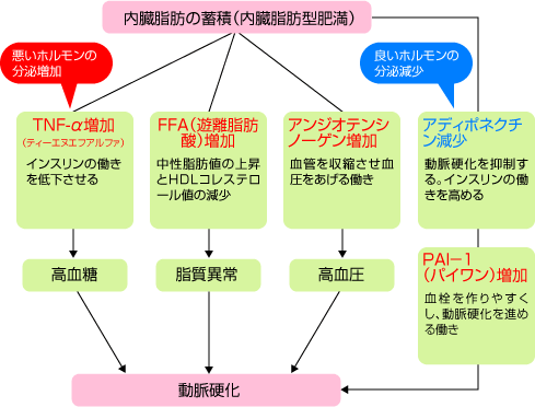 メタボリックシンドロームはなぜ怖い 健康にいがた21