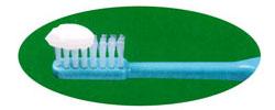 成人用の歯ブラシの植毛部の半分程度に歯みがき剤がついている写真